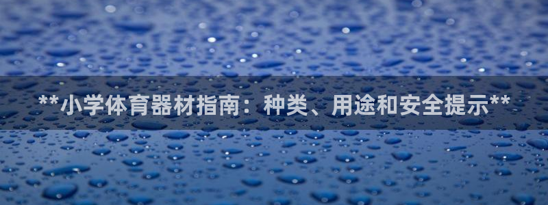星奥娱乐集团股份有限公司招聘：**小学体育器材指南：