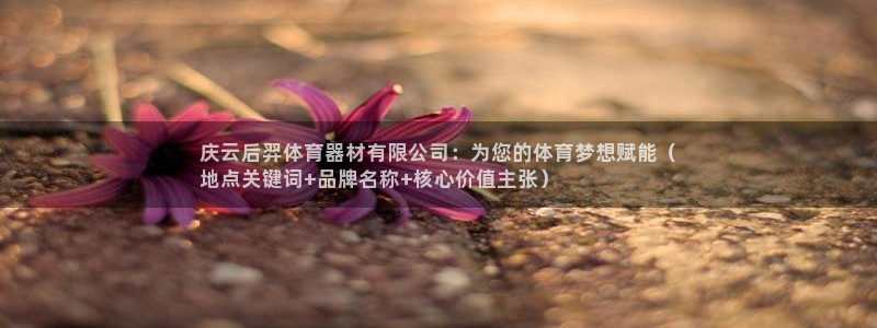 星欧娱乐属于什么档次的网站：庆云后羿体育器材有限公司