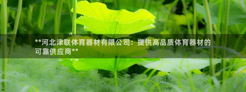 星欧娱乐方7O777：**河北津联体育器材有限公司：