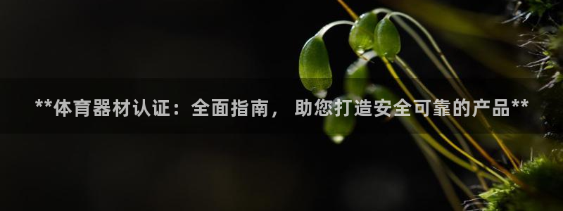 星奥娱乐旗下艺人：**体育器材认证：全面指南， 助您打造安全