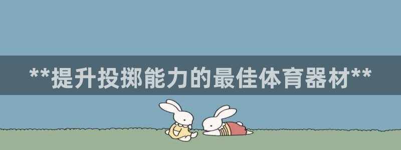 星娱乐彩票网：**提升投掷能力的最佳体育器材**