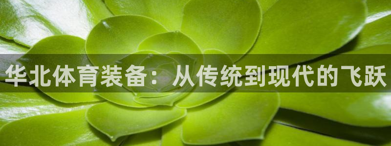 星娱乐online音乐