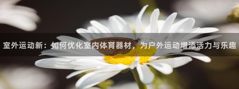 星欧娱乐扣费后解决方法