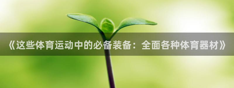 星欧娱乐扣费处理方法