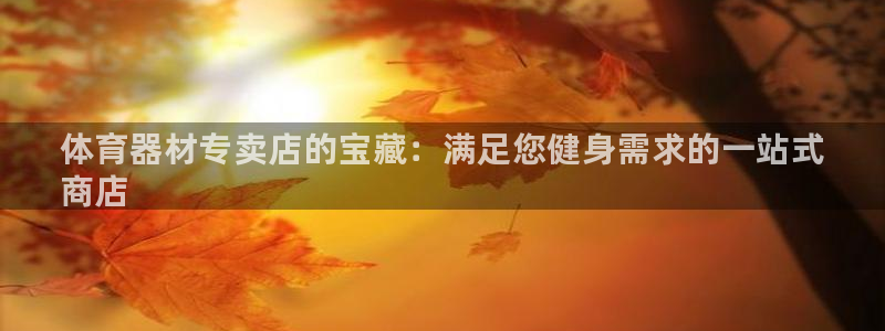 星欧娱乐最建议买的三个产品是什么呢：体育器材专卖店的宝藏：满