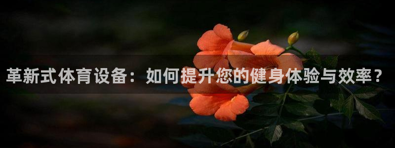 星欧娱乐是什么品牌