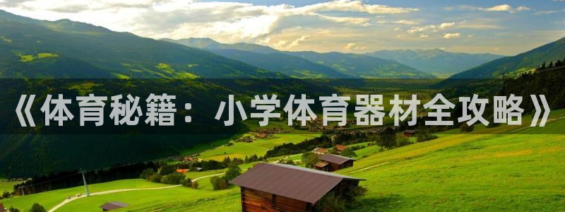 江苏星奥娱乐：《体育秘籍：小学体育器材全攻略》 