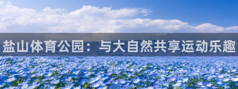 星欧娱乐法711.112扣费如何处理