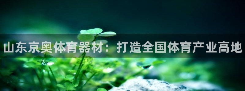 星欧娱乐平台：山东京奥体育器材：打造全国体育产业高地