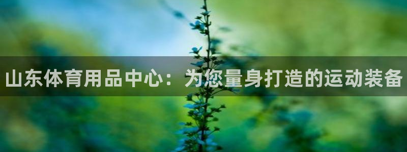 星欧娱乐平台怎么样啊安全吗：山东体育用品中心：为您量身打造的