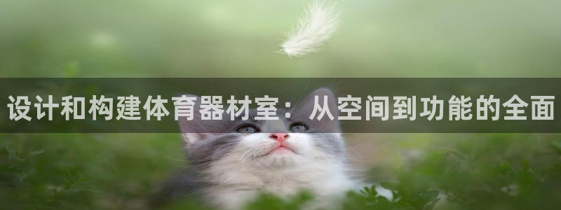 星欧娱乐扣款时间查询方法是什么呢：设计和构建体育器材室：从空