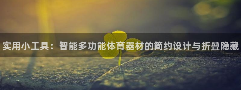 星奥盛典娱乐会所：实用小工具：智能多功能体育器材的简约设计与 