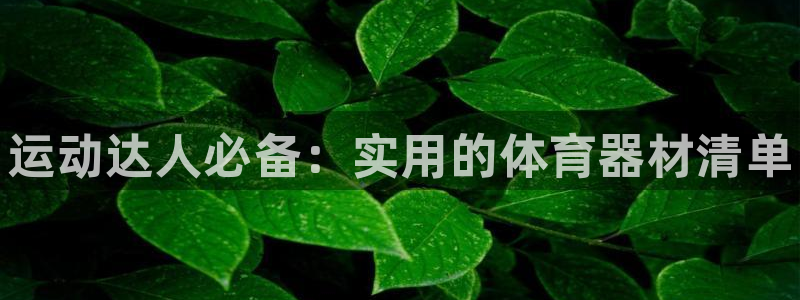 星欧娱乐的创始人背景故事简介：运动达人必备：实用的体育器材清