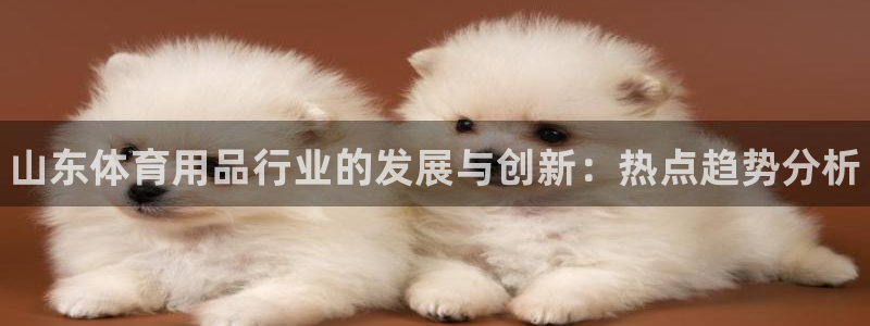 星欧娱乐扣款时间查询方法是什么：山东体育用品行业的发展与创新