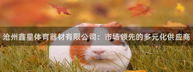 星欧娱乐扣款时间查询方法是什么样的：沧州鑫星体育器材有限公司 