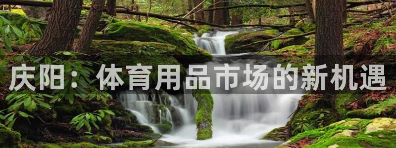 星欧娱乐扣款流程详解图片：庆阳：体育用品市场的新机遇